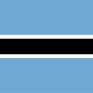 Consecutive Interpretation Afrikaans to English – Francistown, Botswana - Less than 2 weeks