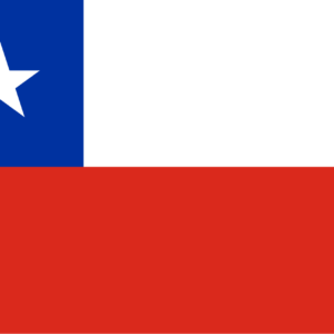 Consecutive Interpretation English to Spanish – ValparaÃso, Chile - Less than 2 weeks