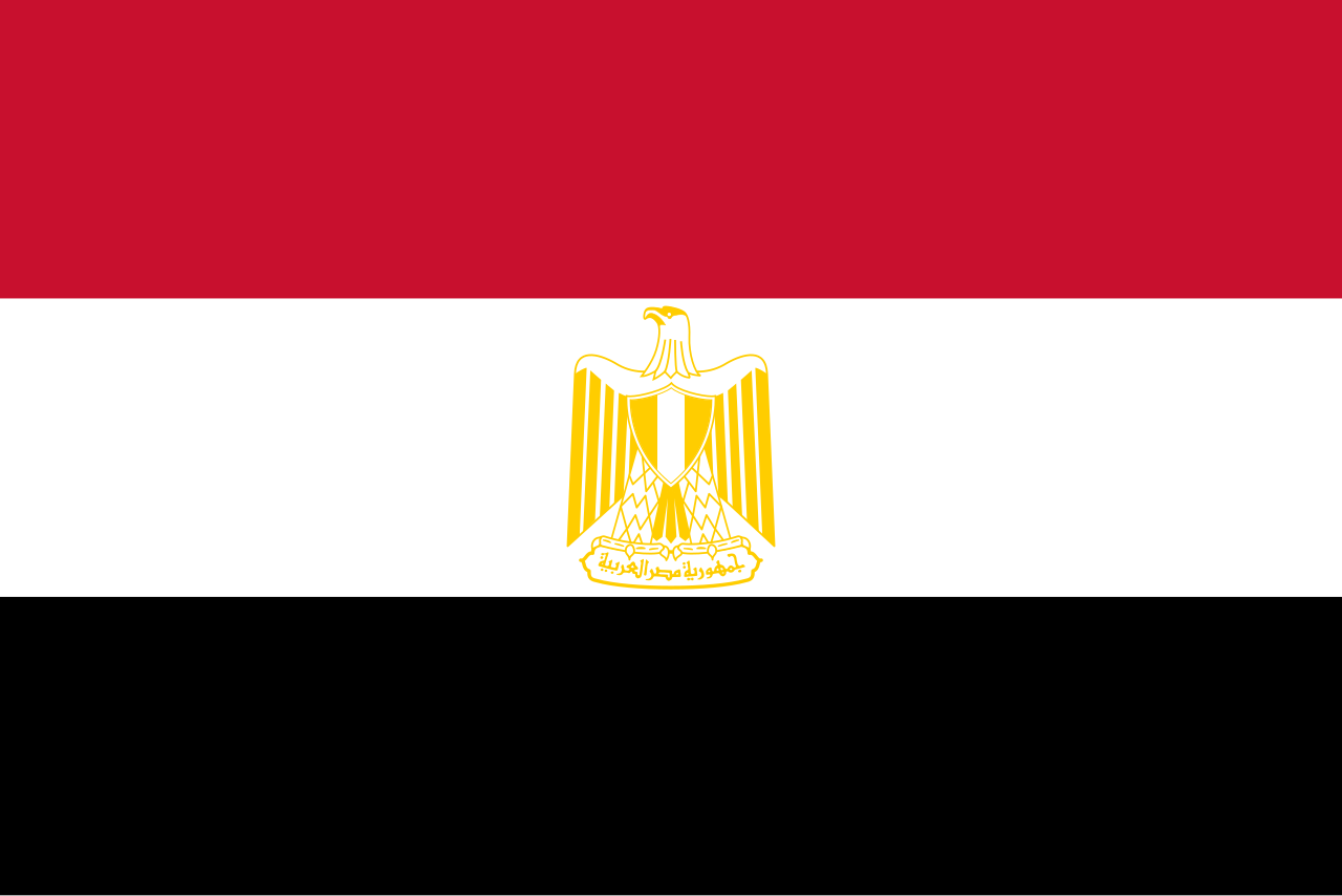 Simultaneous Interpretation Arabic to Russian – Shubra El Kheima, Egypt - More than 2 weeks