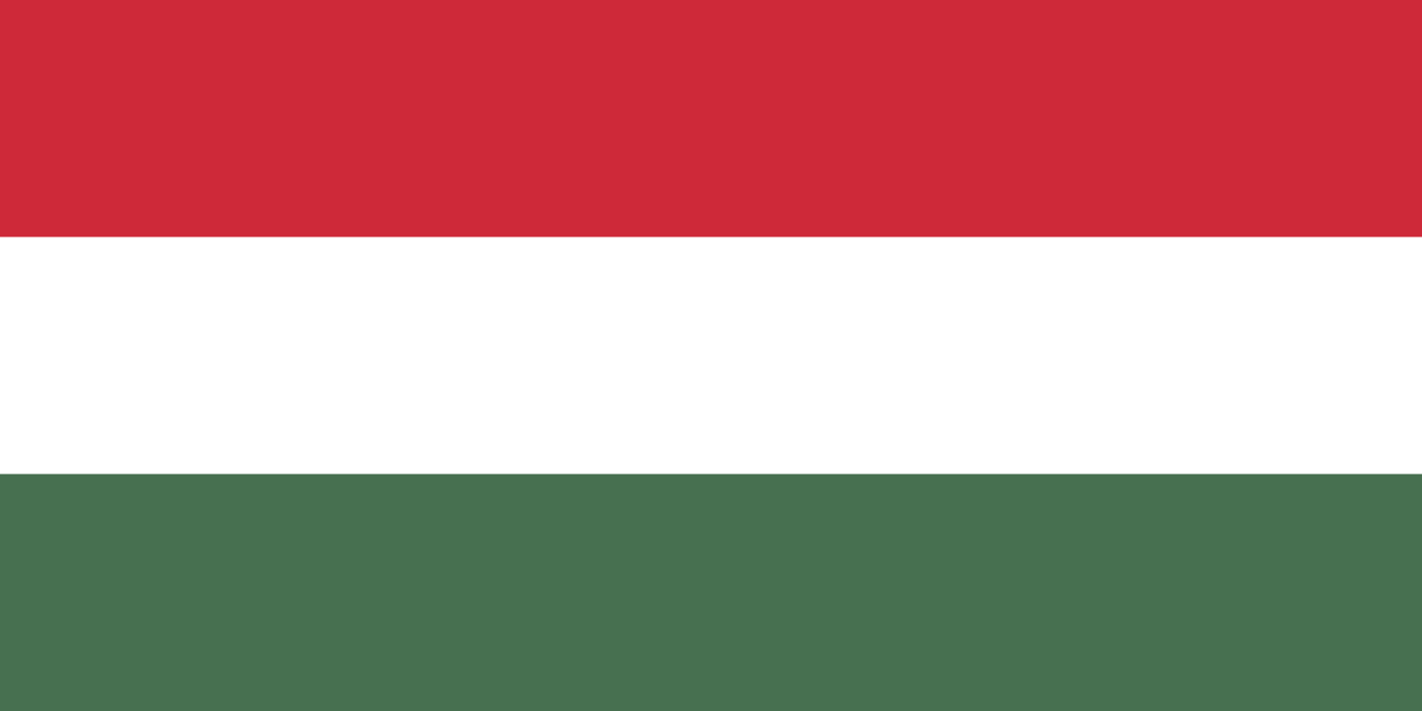 Consecutive Interpretation Hungarian to Serbian – Pécs, Hungary - More than 2 weeks