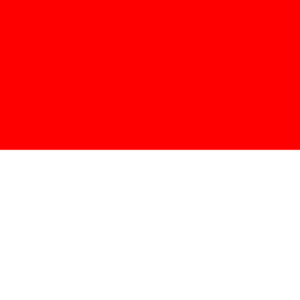 Consecutive Interpretation Arabic to Indonesian – Bandung, Indonesia - Less than 2 weeks