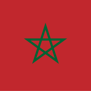 Consecutive Interpretation Arabic to English – Casablanca, Morocco - Less than 2 weeks
