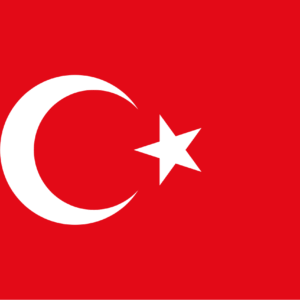 Simultaneous Interpretation Arabic to Turkish – Adana, Turkey - Less than 2 weeks