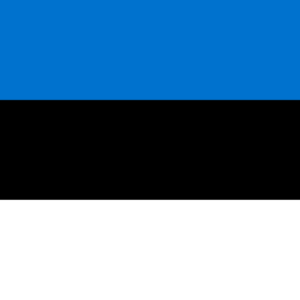 Consecutive Interpretation English to Estonian – Kohtla-Järve, Estonia - Less than 2 weeks
