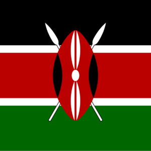 Consecutive Interpretation Arabic to English – Eldoret, Kenya - Less than 2 weeks