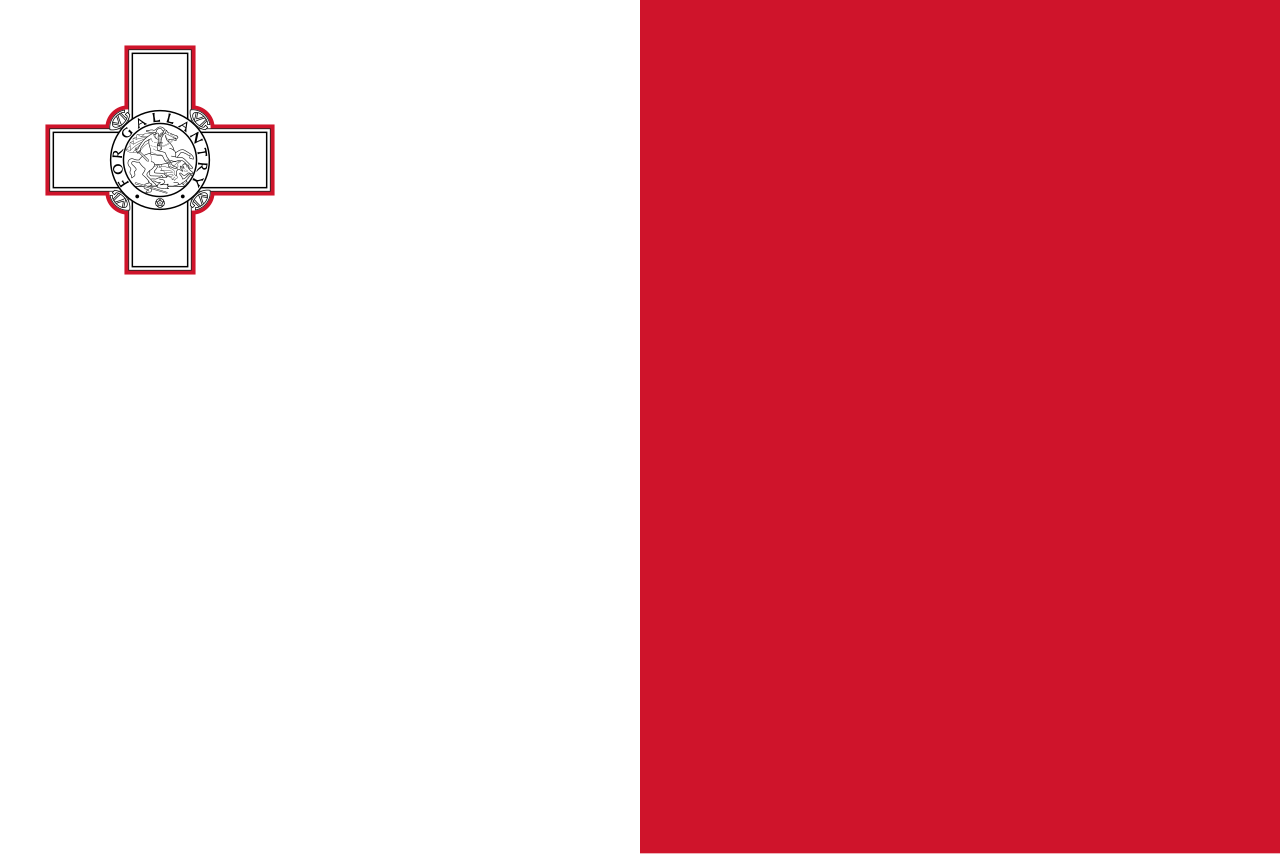 Consecutive Interpretation Italian to Maltese – Qormi, Malta - Less than 2 weeks