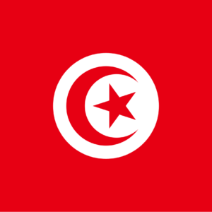 Consecutive Interpretation Arabic to English – Kairouan, Tunisia - Less than 2 weeks