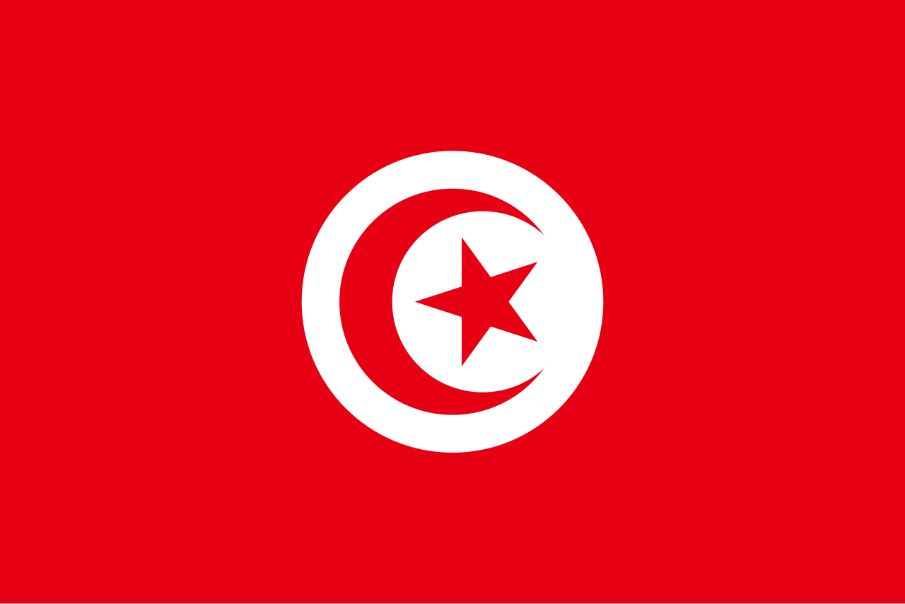 Consecutive Interpretation German to Arabic – Sfax, Tunisia - Less than 2 weeks