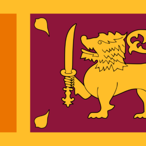 Consecutive Interpretation Arabic to Sinhala – Colombo, Sri Lanka - Less than 2 weeks